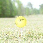 Titleist Golf Balls Mix - 24 Used Yellow Balls