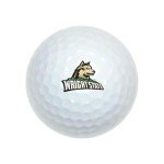 Wright State University Colorful Golf Balls - 12 Pack