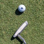 University of North Georgia Wilson Golf Balls - 12 Pack