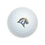 University of New Haven Premium Golf Balls - 12 Pack