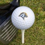 University of New Haven Premium Golf Balls - 12 Pack