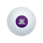 Weber State University Wilson Golf Balls 12 Pack