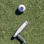 Weber State University Wilson Golf Balls 12 Pack