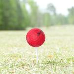 Srixon Mix Mint 5A Quality Golf Balls - 48 Pack