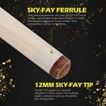 3 Cushion Carom Cue Stick Kit with Case