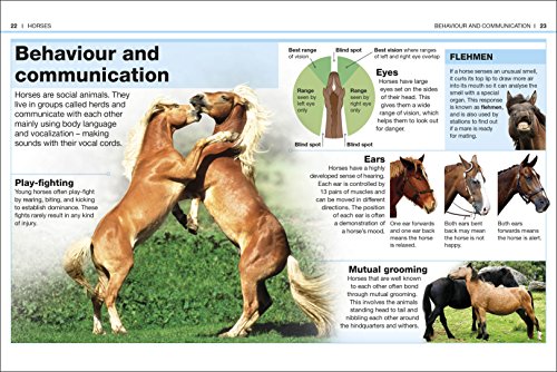 Pocket Eyewitness Horses: Facts at Your Fingertips