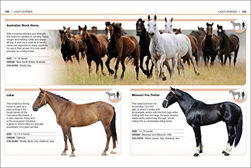 Pocket Eyewitness Horses: Facts at Your Fingertips
