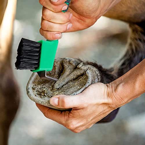 Sturdy Horse Hoof Brush with Handle