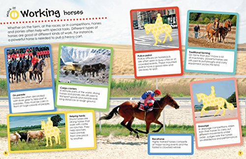 Horses and Ponies Ultimate Sticker Book