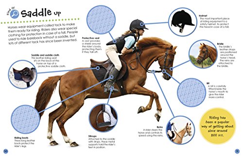 Horses and Ponies Ultimate Sticker Book