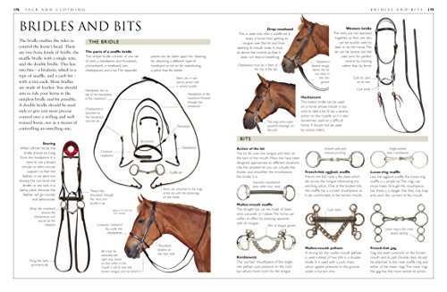 Complete Horse Care Manual