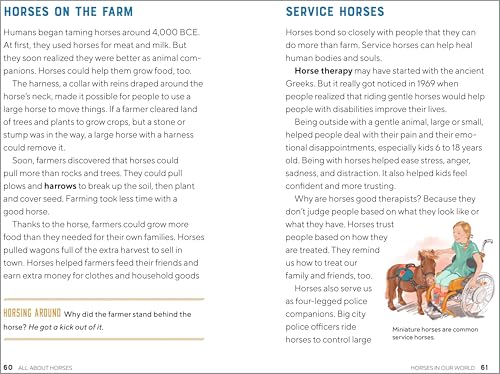 Horse Guidebook for Kids: Breeds, Care, Riding