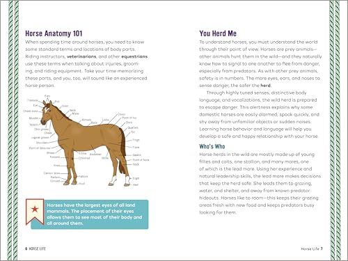 Ultimate Horse Care & Riding Guide for Kids