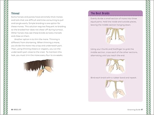 Ultimate Horse Care & Riding Guide for Kids