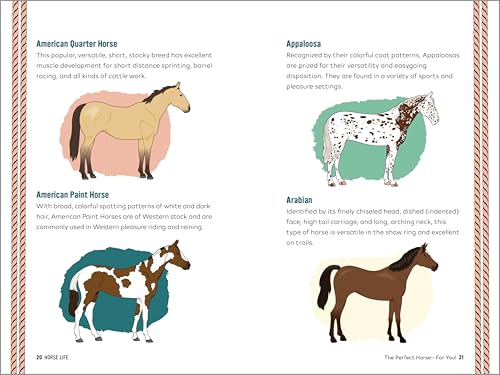 Ultimate Horse Care & Riding Guide for Kids