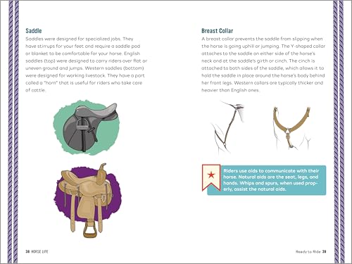 Ultimate Horse Care & Riding Guide for Kids