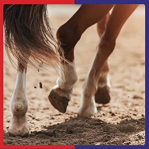 Premium Equine Hoof Support Powder | 2.5kg