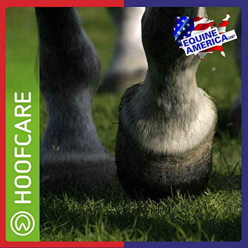 Premium Equine Hoof Support Powder | 2.5kg
