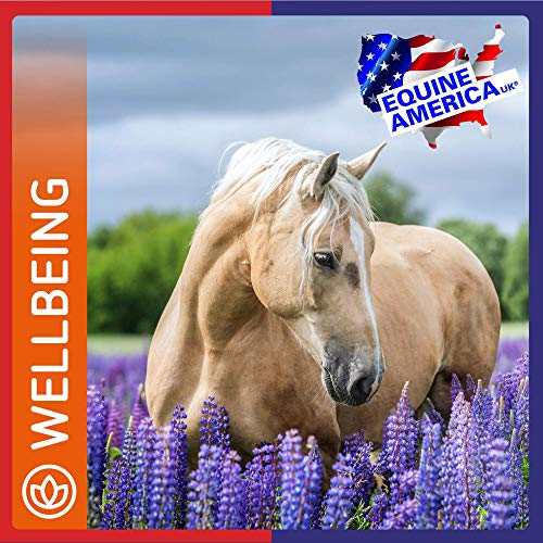 Premium Cushins Pellets for Hormone Balance | 1kg