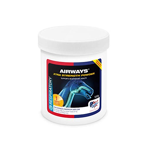 Premium Equine Respiratory Supplement | 500g