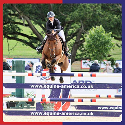 Premium Equine Respiratory Supplement | 500g