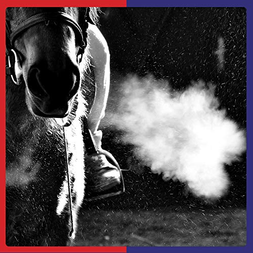 Premium Equine Respiratory Supplement | 500g