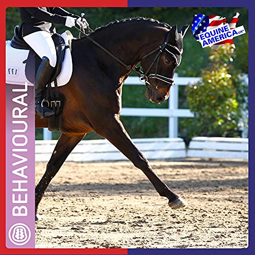 Premium Equine Calming Supplement - 1 Kg