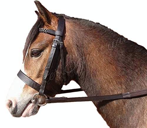 Sheldon Quality Leather Hunter Bridle With Plaited Browband and Rubber Reins (Havana, Pony)
