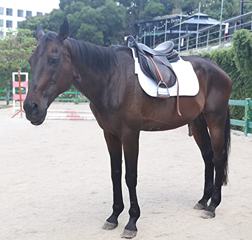 Cotton Quilted All Purpose Dressage Saddle Pad Comfort English Saddle Pad - Horse Riding Pad