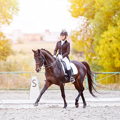 Cotton Quilted All Purpose Dressage Saddle Pad Comfort English Saddle Pad - Horse Riding Pad