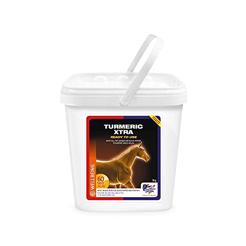 Premium Turmeric Supplement for Horses | 3 Kg