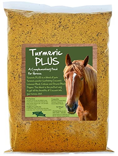 Turmeric Plus Equine Supplement with Black Pepper (1kg)