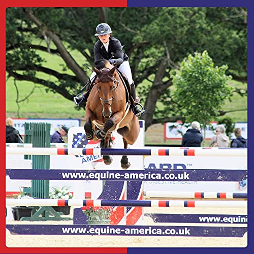 Premium Turmeric Supplement for Horses | 3 Kg