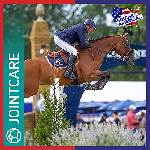 Kentucky Premium Equine Liquid Supplement - 1L