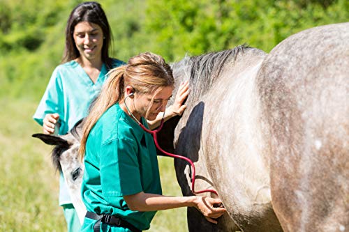 Cushings Horse Supplement with Milk Thistle
