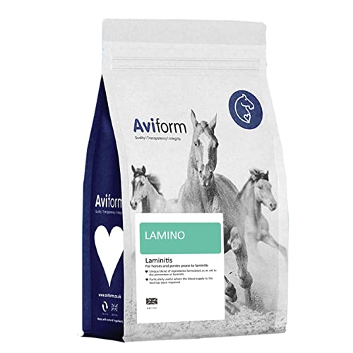 Equine Laminitis Prevention Supplement - 1kg Pouch