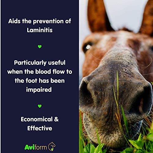Equine Laminitis Prevention Supplement - 1kg Pouch