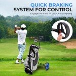 2 Wheel Golf Push Cart - Lightweight Folding Walking Push Cart Roller Golf Bag Holder Upper/Lower Bracket w/ Elastic Strap, Bag Storage Holder SLGZX3