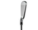 Cobra 2022 LTDX Iron Set - Satin Chrome/Gold