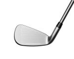 Cobra 2022 LTDX Iron Set - Satin Chrome/Gold