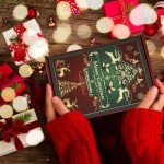 Scented Soy Candles Set for a Cozy Christmas