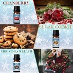 Cozy Winter Scented Oils Gift Set for Home