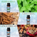 Cozy Winter Scented Oils Gift Set for Home