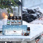 Cozy Winter Scented Oils Gift Set for Home