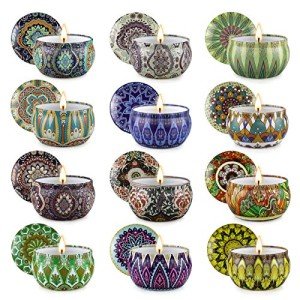 12-Pack Scented Soy Candles for Home Decor