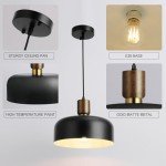 Sleek Black Pendant Light for Stylish Interiors