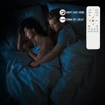 SJV Modern Dimmable LED Ceiling Light Fixture