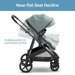 Mompush Wiz 2-in-1 Convertible Baby Stroller with Bassinet Mode - Foldable Infant Stroller to Explore More as a Family - Toddler Stroller with Reversible Stroller Seat