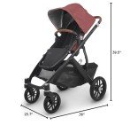 UPPAbaby Vista V2 Stroller/Convertible Single-to-Double System/Bassinet, Toddler Seat, Bug Shield, Rain Shield, and Storage Bag Included/Lucy (Rosewood Mélange/Carbon Frame/Saddle Leather)