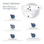 Honest Co. Overnight Diapers - Size 6, 34 Count